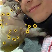 Suelo dar clases de lengua castellana y literatura, lengua gallega y literatura, literatura universal, historia e historia del arte